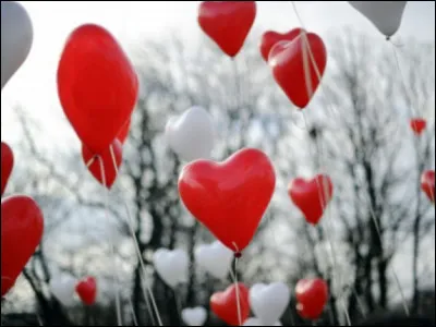 Le village de Saint-Valentin est situé dans...
