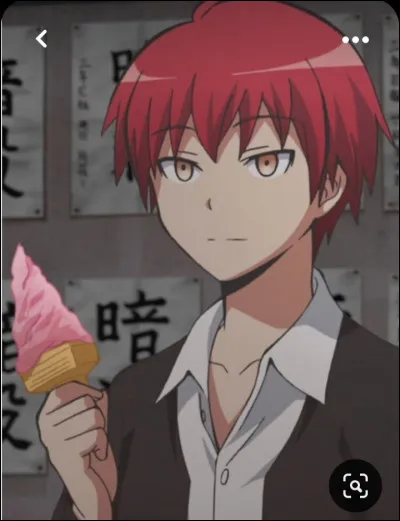 Quelles sortes de films regardez-vous ?