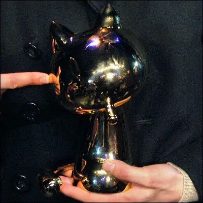 Quel festival remet depuis 2008 un prix appel&eacute; Fauve d�or ?