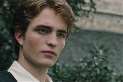 À quel poste joue Cedric dans l'équipe de quidditch de Poufsouffle ?