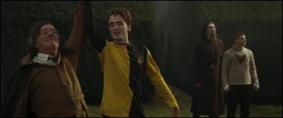 Enfin, gagne-t-il le tournoi ?