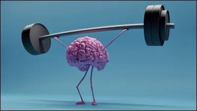 Quels sont les trois signes qui sont soi-disant les plus intelligents ?