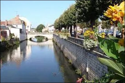 Ville à la confluence de la Loire et du Nohain, Cosne-Cours-sur-Loire se situe ...