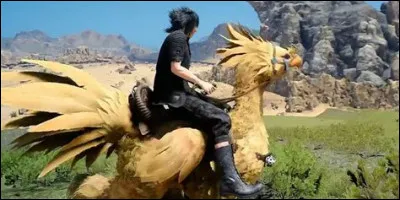 Aimes-tu les chocobos ? (Voir image)