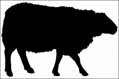 Quel est cet animal ?