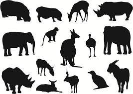 Quiz Animaux