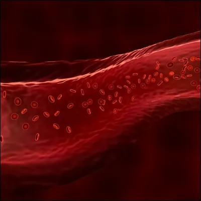 Accordes-tu de l'importance au taux de sang "pur" dans chaque sorcier ?