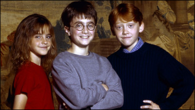 Qui est cette personne qui est entre Ron et Hermione ?
