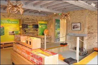 Quel fruit a son musée à Villefranche-du-Périgord ?