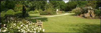 Quelle fleur est à l'honneur au parc paysager de Doué-la-Fontaine ?