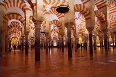 Cette ville était léquivalent de Constantinople en occident au Moyen Âge. On peut y admirer l'une des plus belles mosquée du monde arabe. Où sommes-nous ?