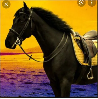 Et dans ''Zoe et Raven'', qui préfères-tu ?