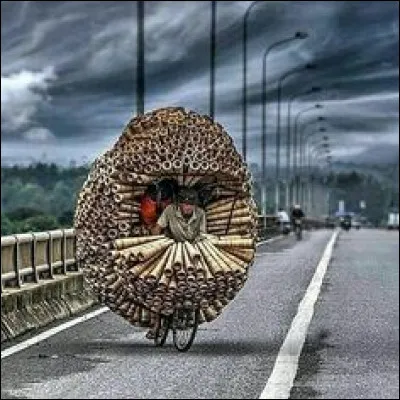 S'agit-il du vélo cargo d'un Vietnamien chargé de bambou ou du vélo cargo d'un Thaïlandais chargé de feuilles de tabac roulées ?