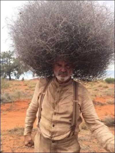 Qui se cache sous cette coupe afro improvisée ?