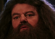 Quiz Hagrid