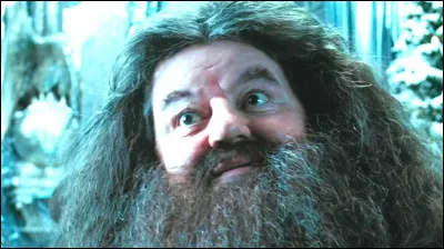 Va-t-il au bal de No&euml;l ?