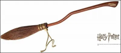 Dans quelle équipe de Quidditch jouait Ludo Verpey ?