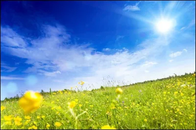 Ton mois comporte-t-il 30 ou bien 31 jours ?