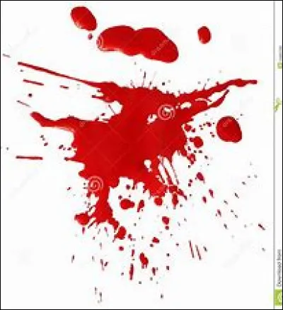 Quelle est la couleur de la question 4 ?