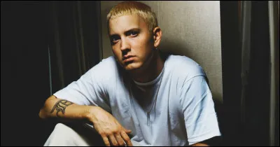 Lequel de ces titres n'est pas de Eminem ?