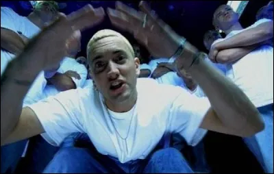 Slim Shady est :