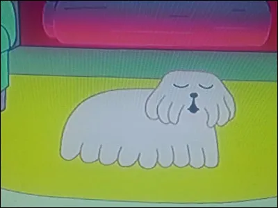 Quel est le nom de ce personnage ?