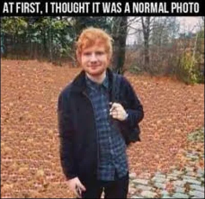 Quand tu es proche de feuilles séchées peut-on te voir ?