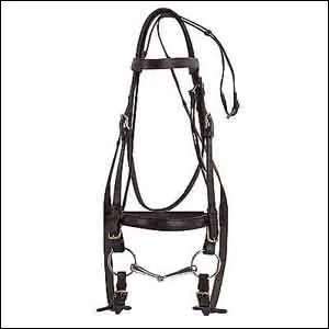 Comment appelle-t-on cet objet ?