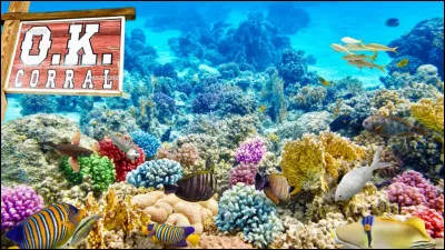 ___ Règlement de comptes à O.K. Corail ___

Le corail est-il capable de manger des méduses adultes ?