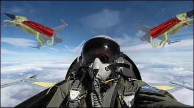 ___ Mieux vaut décamper que de sy confronter ! ___

Combien de fois la langue du caméléon accélère-t-elle plus quun avion de chasse (lui-même accélérant à 10 G), pour finalement atteindre sa proie en 1/25e de seconde ?