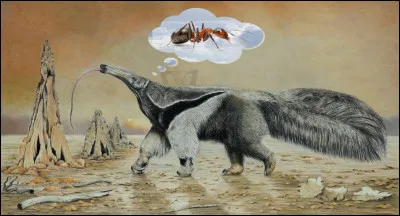 ___ Le tamanoir est-il hanté par les fourmis ? ___

Jusquà combien de fourmis le tamanoir, ou fourmilier géant, ingurgite-t-il chaque jour pour subvenir à ses besoins ?