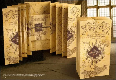 À quoi sert cette carte ?