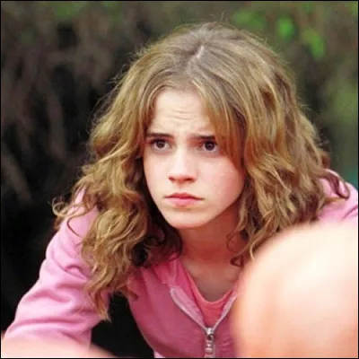 Quel cours Hermione Granger a-t-elle arrêté de suivre ?