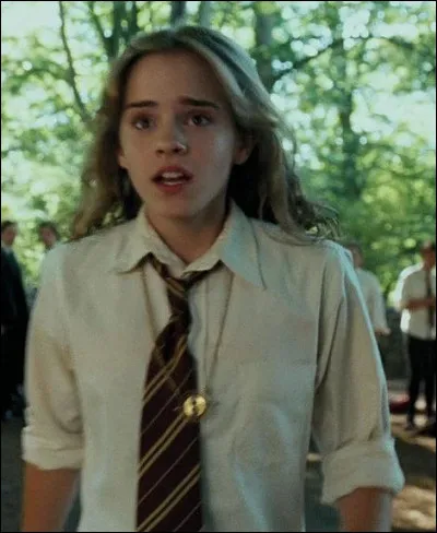 Pourquoi Hermione possède-t-elle un retourneur de temps ?