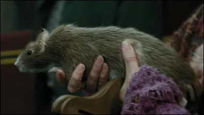 Qui est ce personnage ?