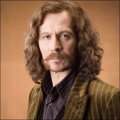 Qui est Sirius Black ?
