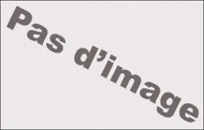 Combien de circuits portent son nom dans Mario Kart DS ?