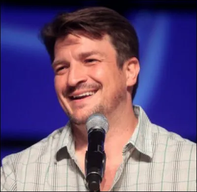 Qui interprète l'écrivain Richard Castle ?