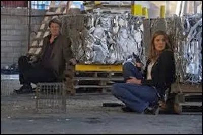 À quel monde font référence les enquêtes ?