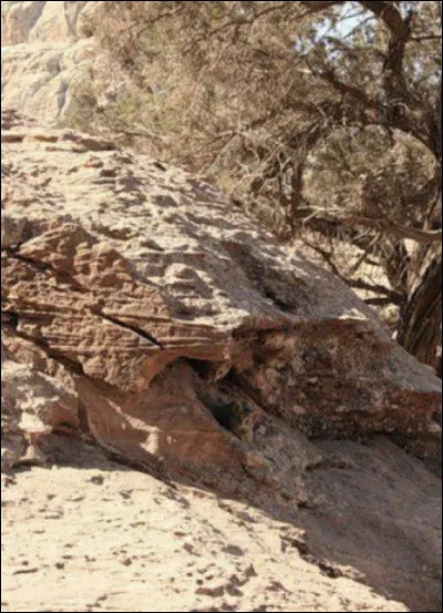Quels animaux se cachent dans ces rochers ?