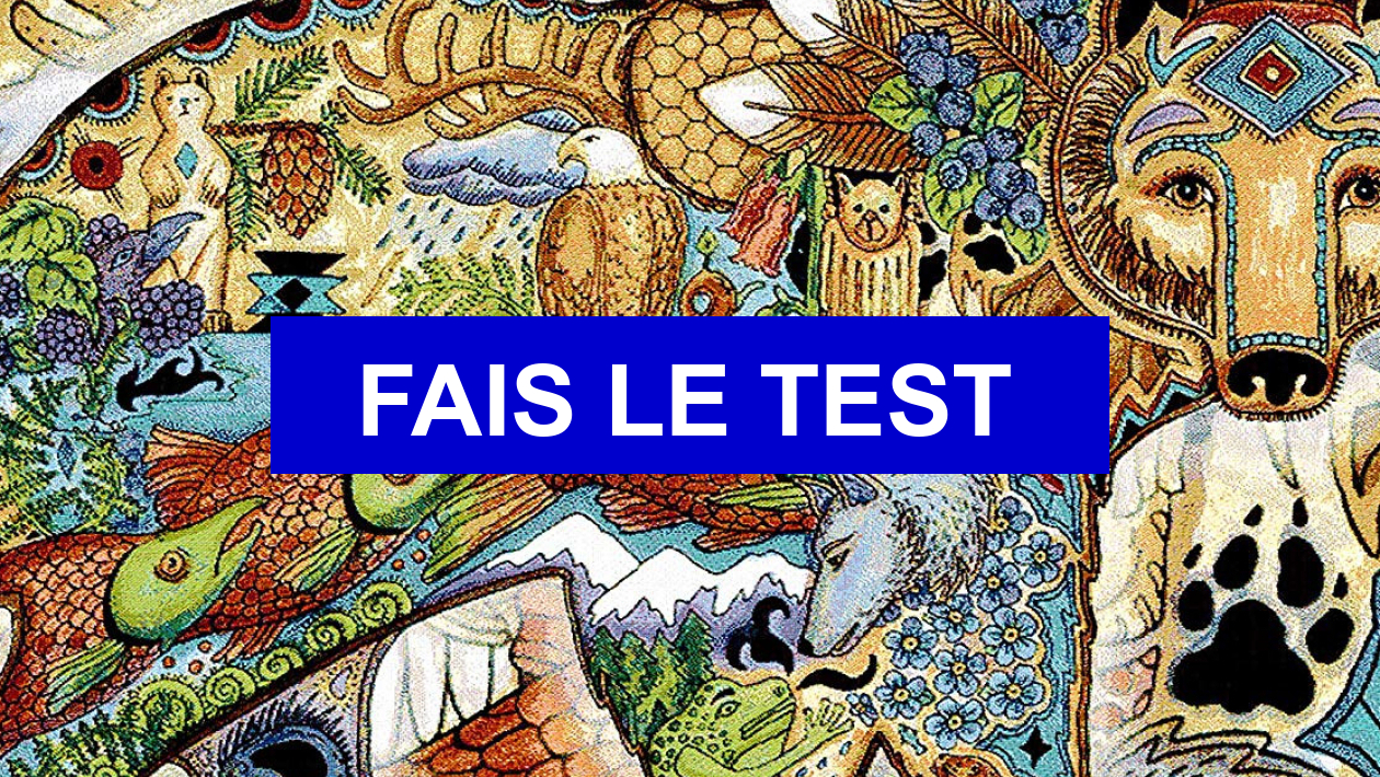Test de personnalité Quel est votre animal totem