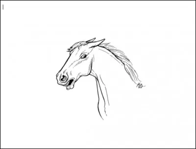 Observe l'attitude de ce cheval : il paraît...