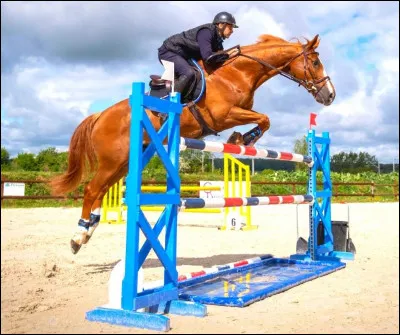 Quel est le mécanisme du saut ?