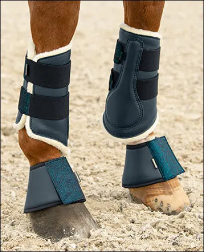 Comment s'appelle la protection protégeant le canon et le boulet sur la photo ci-dessus ?