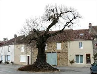 À Angoisse (Dordogne), les habitants portent le gentilé ...