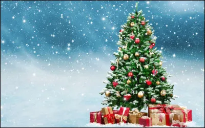 N - À quelle date se célèbre la fête de Noël ?