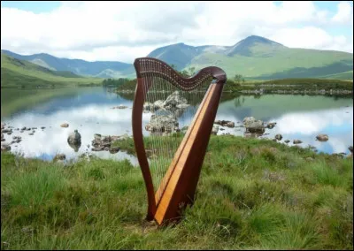 H - De quelle famille d'instruments la harpe fait-elle partie ?