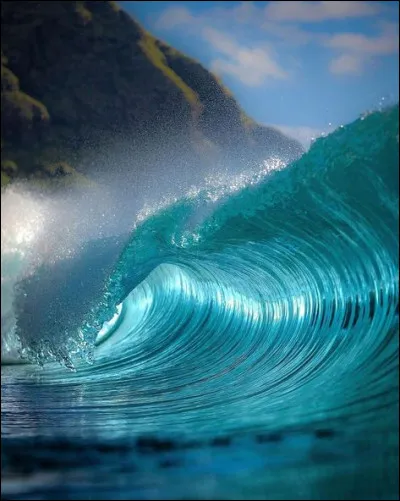 A quoi sert la carde en mécanique ?