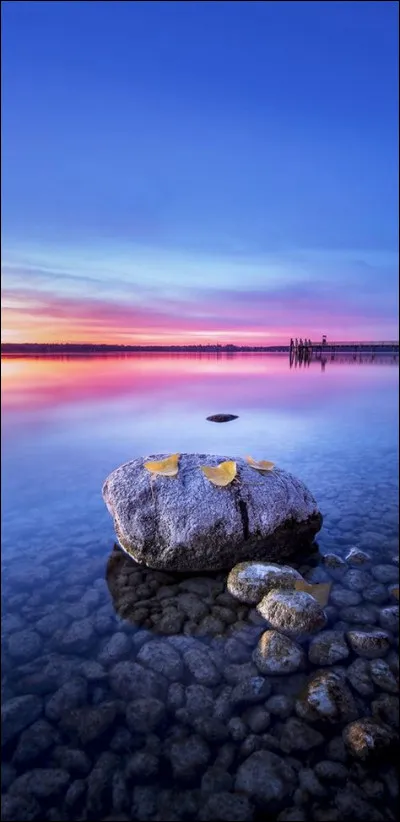 Quel personnage de la saga Harry Potter était garde-chasse ?