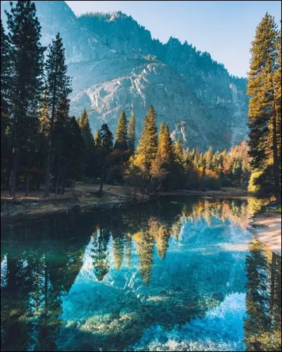 Quel est le poids approximatif des chapeaux en fourrure des gardes britanniques ?